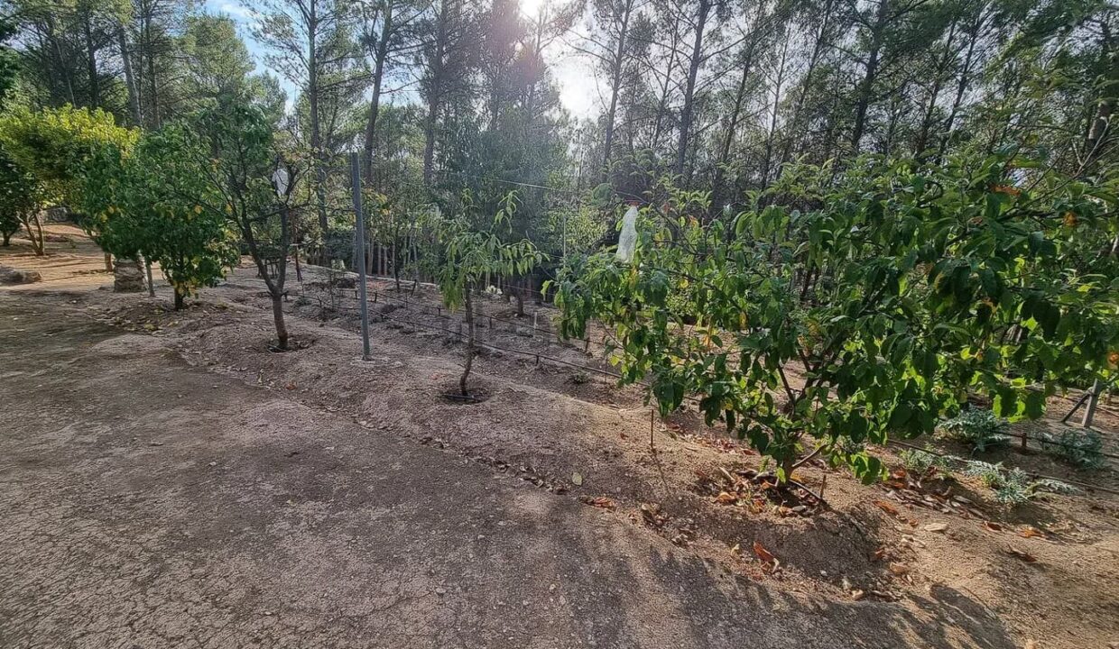 Casa en Travesía de los Mastines (19)