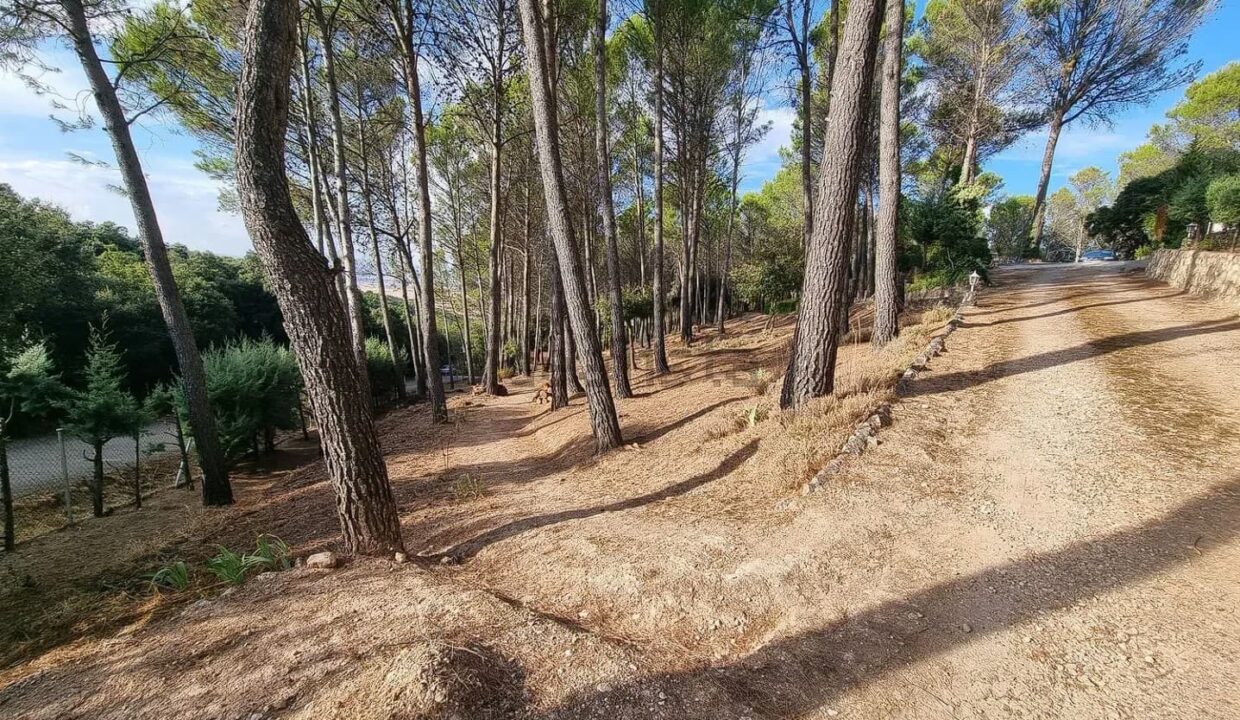 Casa en Travesía de los Mastines (5)