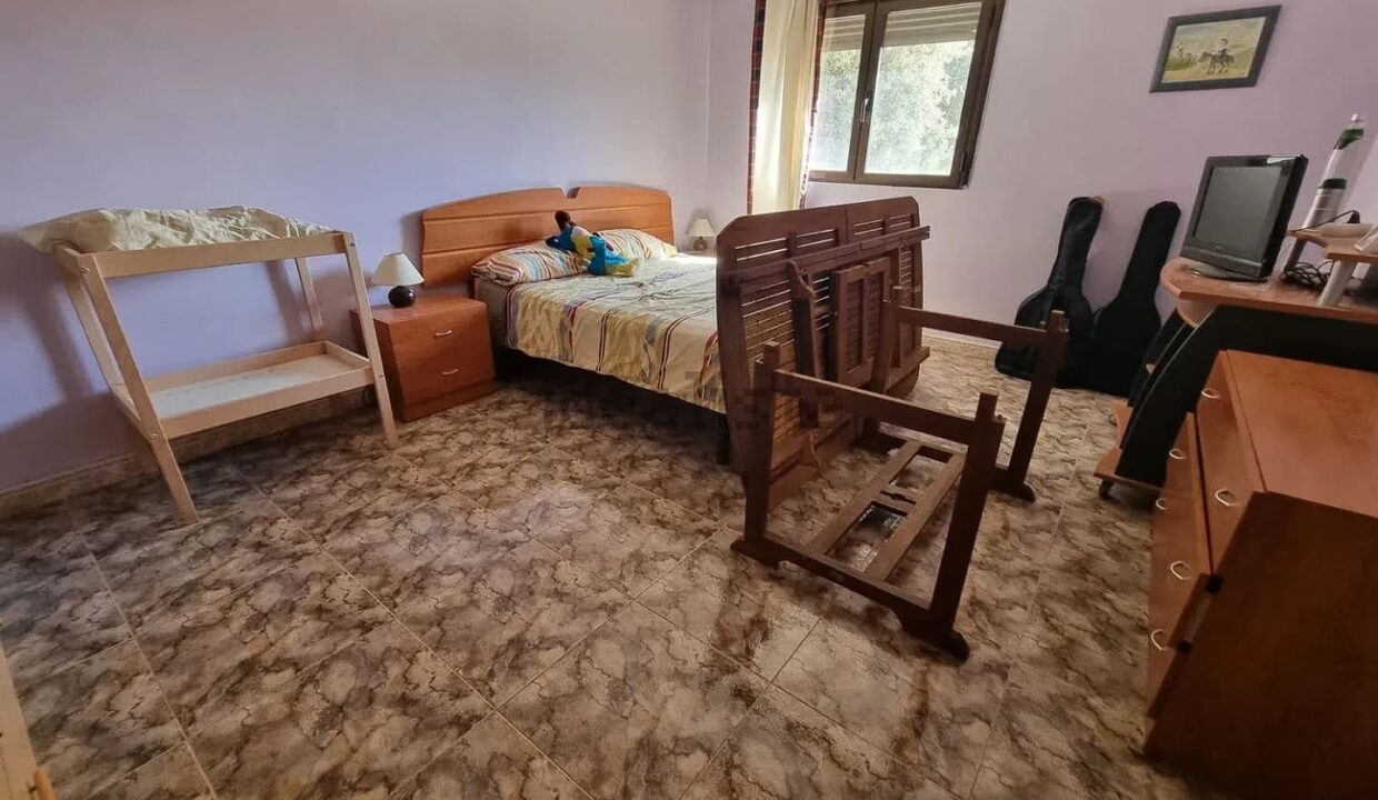 Casa o chalet independiente en venta en Pioz (42)