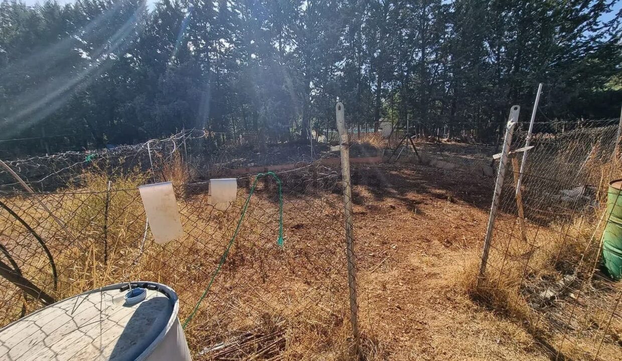 Casa o chalet independiente en venta en Pioz (9)